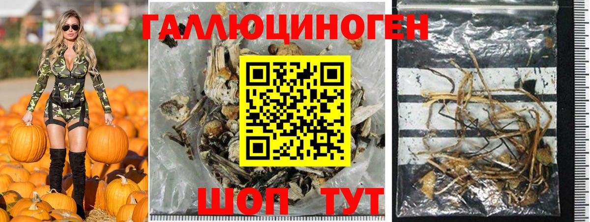 Псилоцибиновые грибы мицелий Учалы
