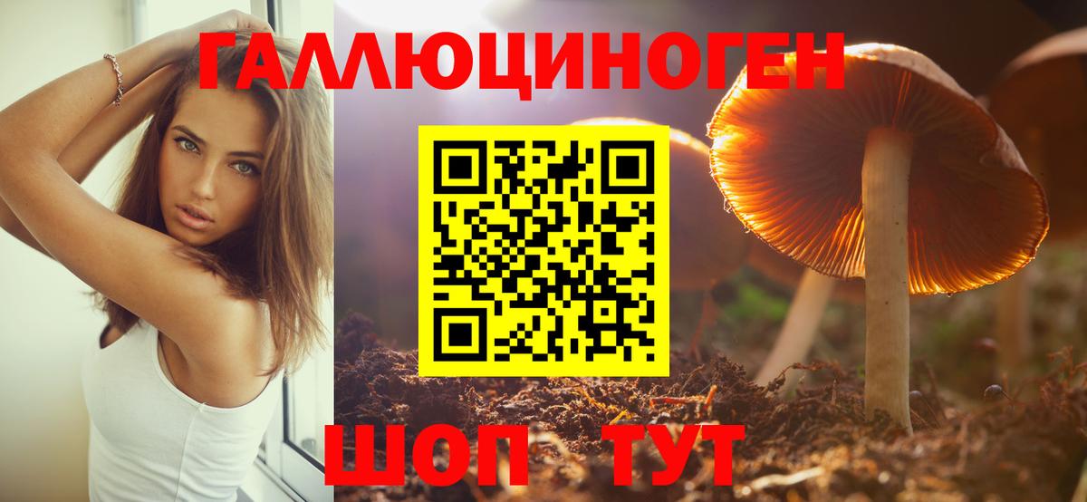 Учалы  Галлюциногенные грибы Cubensis  Вход с VPN 